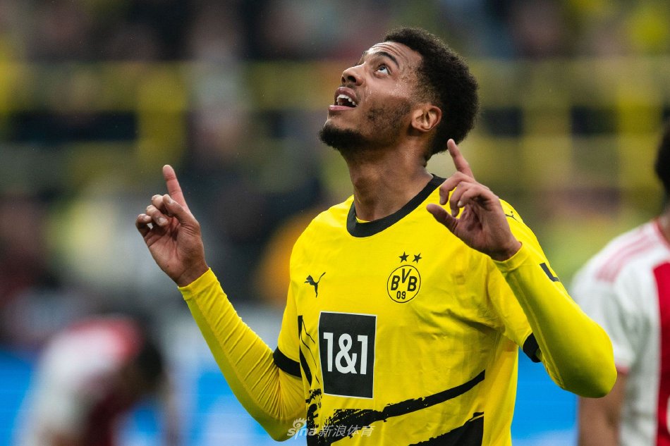 仅是收获了 仅是收获了